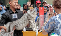 2026年马来西亚宠物展(Pet Expo Malaysia)观展指南（日程地点+购票方式）