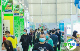 广州大米展(IRE)2026门票购买渠道