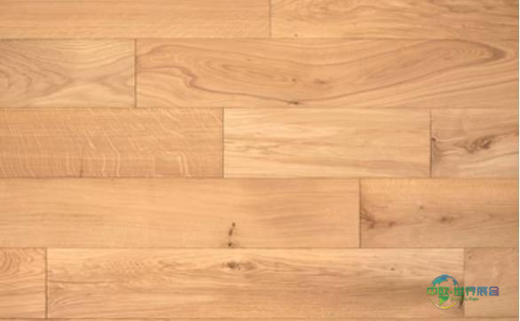 2026年英国哈罗盖特国际地面材料展览会:参展商Canopy Flooring