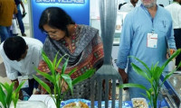 2025年孟加拉国达卡国际食品博览会:绝佳的采购平台