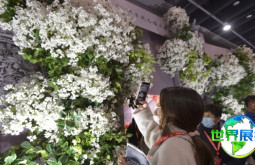 2026全国婚庆道具展(WFDF)展品范畴
