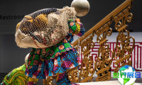2026年巴塞尔艺术展(Art Basel)门票购买渠道