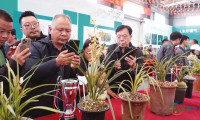 兰香雅韵汇知音 茶兰共舞振乡村 2026湖北随县第七届兰花博览会暨随州兰花茶新品发布盛会隆重开幕
