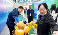 第二届山东绿色蔬菜产业博览会将于4月15日在莘县举办