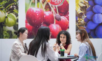 2026年韩国首尔国际食品及酒店用品展览会：连接全球食品行业的桥梁