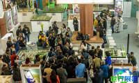 2027年印度数字游戏展(Digital Gaming India)观展指南（日程+场馆+购票）