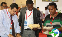 2026年加纳食品展(Africa Food Show)票价与购票方式