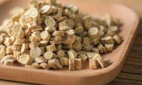 子洲黄芪在首届中药农业博览会上大放异彩