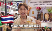 第六届中国国际消费品博览会：多语言视角下的盛会