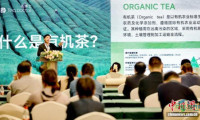 厦门国际春季茶产业博览会五展齐开 助力中国茶业创新发展