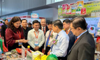 2026胡志明市国际食品饮料展促行业可持续发展