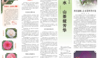 这株花卉在川渝大地已绽放两千余载，亲历山城沧桑变迁