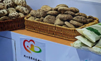 湖北“安心消费天团”消博会上引注目 周黑鸭、劲牌皆登场
