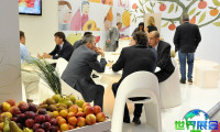 2027年意大利果蔬展（Macfrut）参观指南：时间地点与门票价格详解