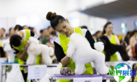 2026新加坡宠物展(SG Pet Festival)展品范围