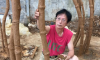 满身人间烟火气，半生艺术灵魂魂——记汉派艺术家陈汉生