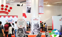 泰国猫咪博览会(Thailand Cat Lovers Fair)2027年参展指南（时间地点/观众预约）