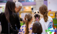 2026年葡萄牙宠物展(Pet Festival)观展指南（时间/地点/观众预约）