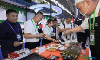 第十届中国—俄罗斯博览会迎来对民众开放之日(40)#