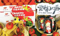 2026台北食品展标奇参展展示多元食品产品线