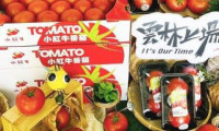 中国台北市国际海峡两岸食品展览会：台中农业局携“台中鲜”品牌亮相海峡两岸食品展览会...