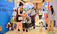 老龄宠物康养、“宠物小镇”兴起，这场宠博会透露新动向