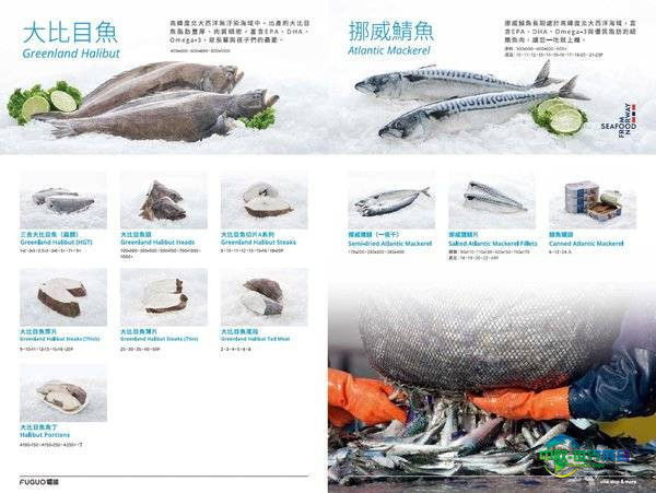 鹰牌冷藏企业亮相海峡两岸食品展，展现多元产品实力