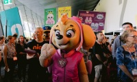 新手参加澳洲澳大利亚墨尔本玩具及品牌授权展览会(Australian Toy Hobby and Licensing Fair)展会：展位预约简化流程