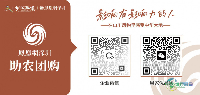 中国品牌出海“超级接口”落地海南——2026中国品牌出海博览会10月启幕