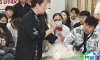 万店赋能中国行 | 长春站暨CGGC长城世界宠物美容大会长春分赛区圆满落幕