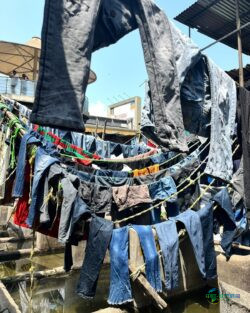 多排湿牛仔裤悬挂在露天水池和水泥渠上方晾干