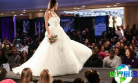2027美国婚纱展（Bridal Spectacular）观众预登记正火热进行中