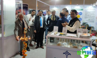 2026年印度油漆涂料展览会（PAINTINDIA）展位费用及申请指南