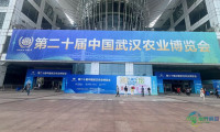 汉吉福年画亮相第二十届武汉农博会