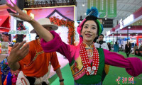 第十届中国—南亚博览会在云南昆明拉开帷幕