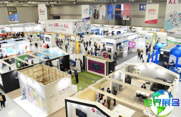 2026年韩国动漫展（Gwangju ACE Fair）有哪些展品类别？