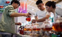 第十届中国-南亚博览会圆满结束(6)