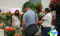 美国劳德代尔堡花卉园艺展览会(Floriexpo)参展商名单