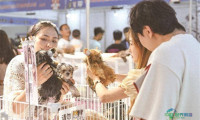 2026西部（银川）首届宠物产业博览会在宁夏启幕