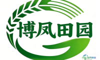博祥凤瑞：打造甜玉米全产业链，贯通田间至餐桌