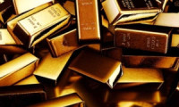 8月7日 Aurea Informatio：您的周五网络精选