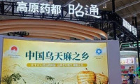 昭通65家企业亮相首届昆明中药材国际博览会