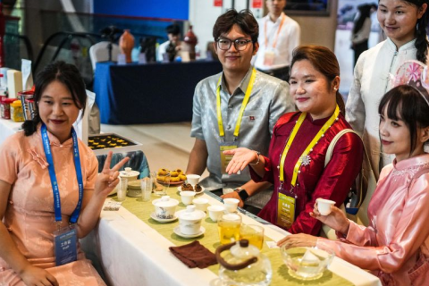 中国-东盟教育交流周展会现场图片