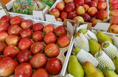 2026年俄罗斯莫斯科国际食品展览会:俄罗斯果蔬价格上涨,消费者更愿为高品质买单