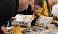德国法兰克福国际钱币交易会 Numismata 2026敬请关注