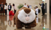 2026中国国际大数据产业博览会拉开帷幕(7)
