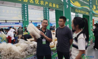 第二十二届齐齐哈尔绿色有机食品博览会盛大开幕