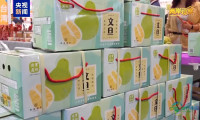两岸观察丨台岛文旦柚亮相东莞台博会 十项举措加速推进戳穿民进党“断链”假象