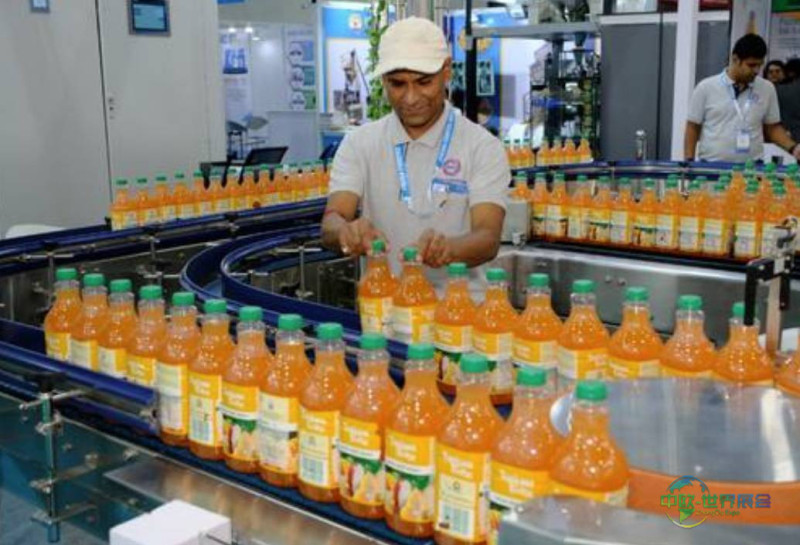 2025年印度孟买国际食品加工与包装技术展览会:食品制造业数字化