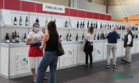 西班牙奥伦赛国际葡萄酒和烈性酒展 VINIS TERRAE 2026推动国际拓展